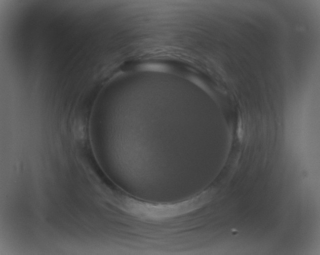 X0000083530039200702091018