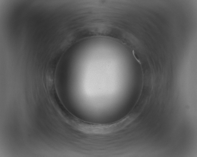 X0000083530040200702091018