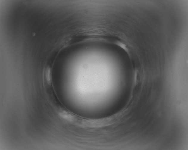 X0000083530041200702091018