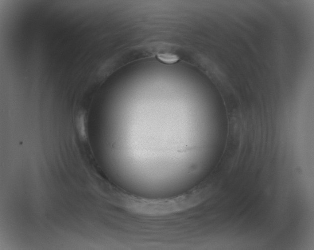 X0000083530042200702091018