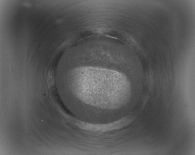 X0000083530043200702091018