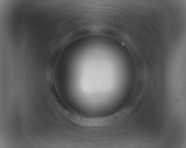 X0000083530044200702091018