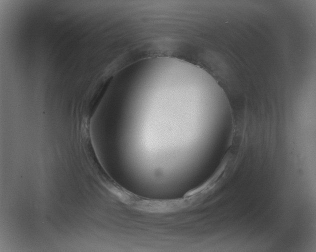 X0000083530045200702091017