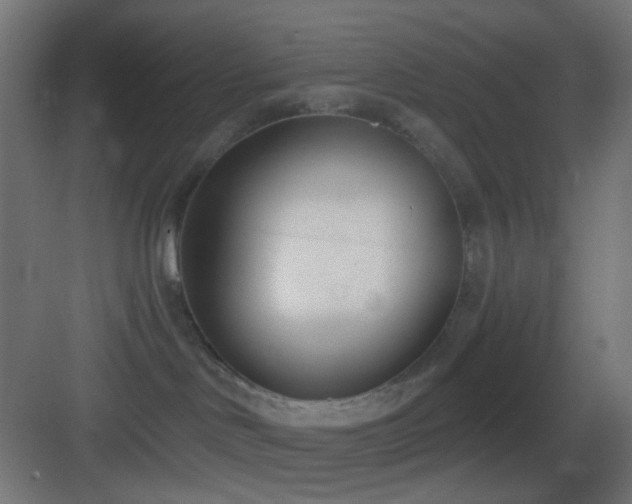 X0000083530046200702091017