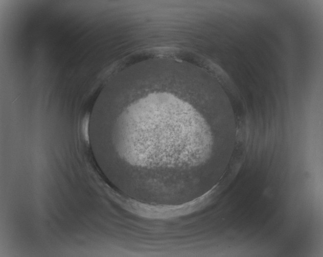 X0000083530047200702091017