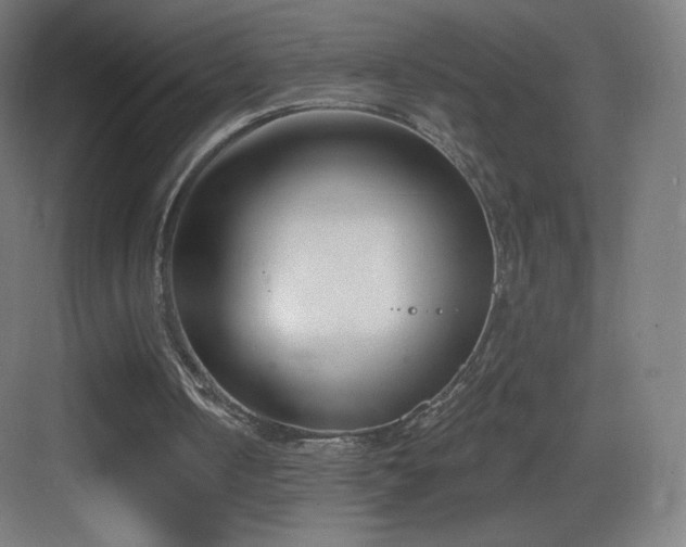 X0000083530050200702091017