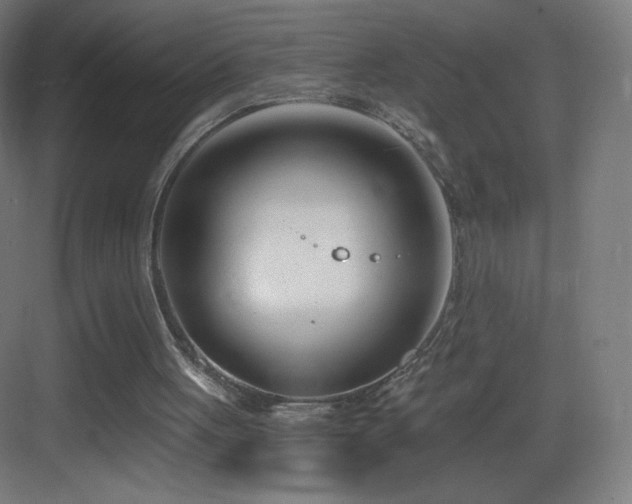 X0000083530051200702091017