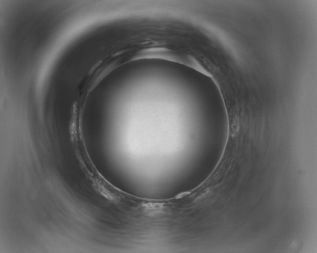 X0000083530052200702091017