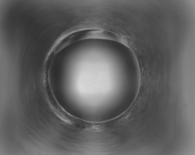 X0000083530056200702091017