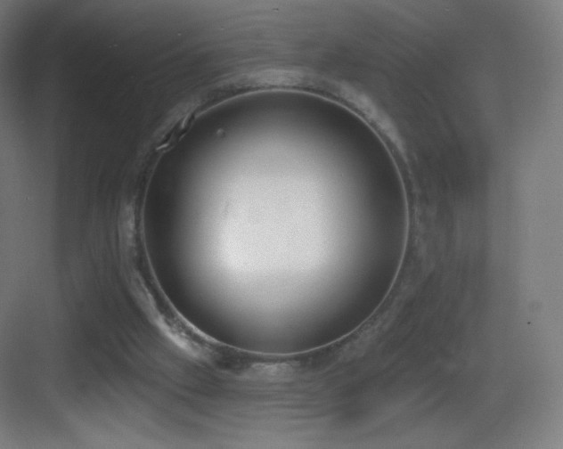 X0000083530057200702091017