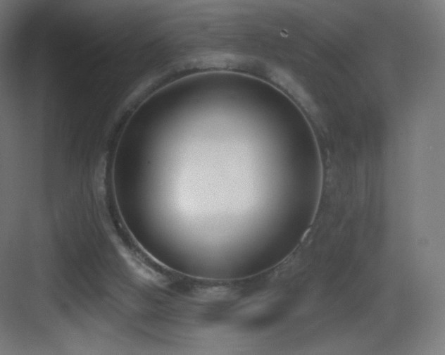 X0000083530058200702091017