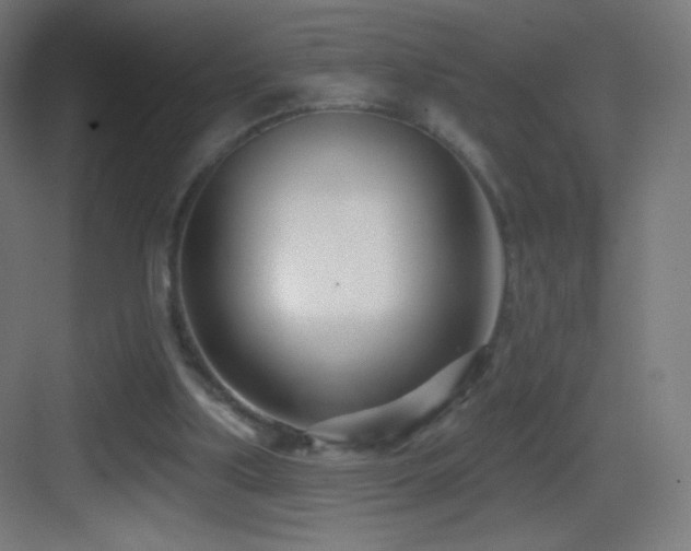 X0000083530059200702091017