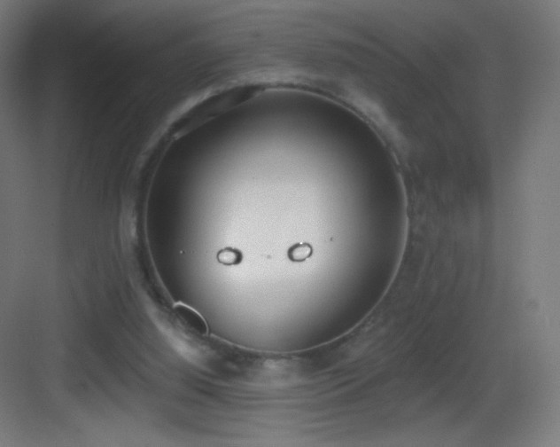 X0000083530060200702091017