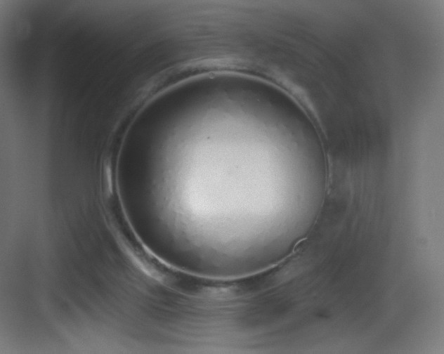 X0000083530061200702091017