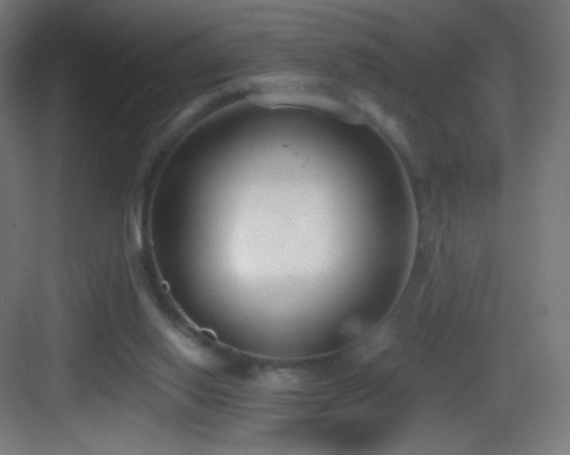 X0000083530062200702091017