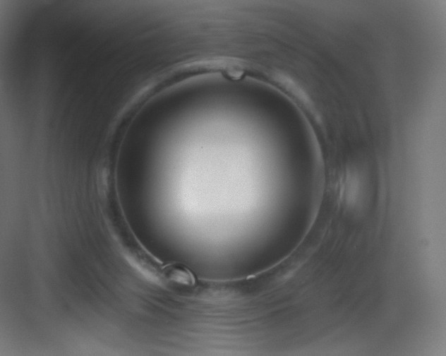 X0000083530063200702091017