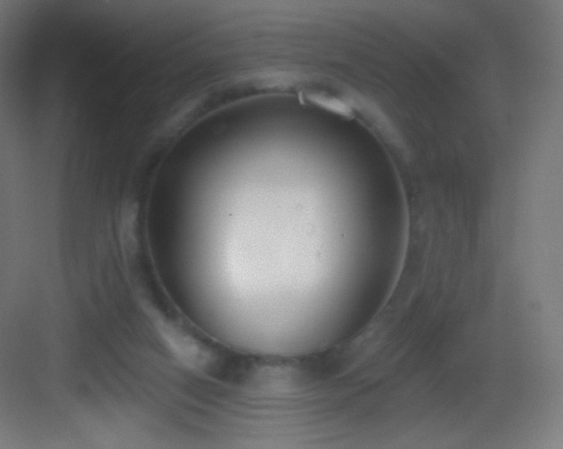 X0000083530066200702091017