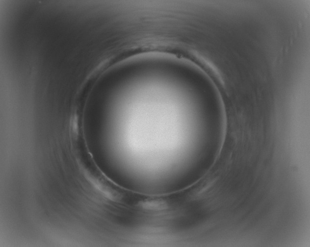 X0000083530067200702091017