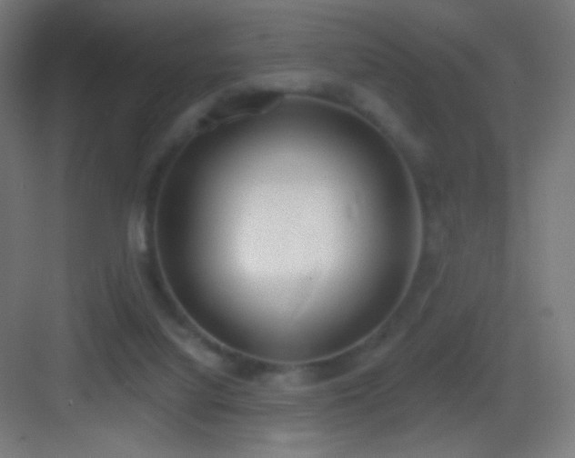 X0000083530068200702091017