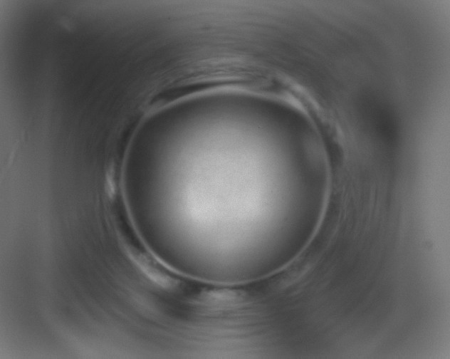 X0000083530069200702091017