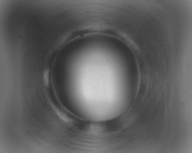 X0000083530070200702091017