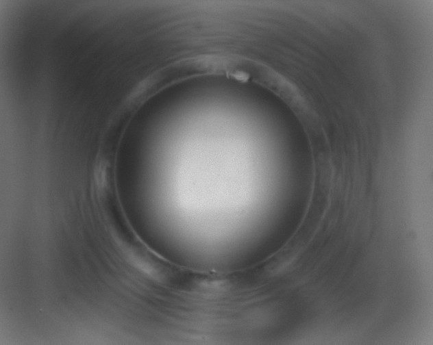 X0000083530071200702091017