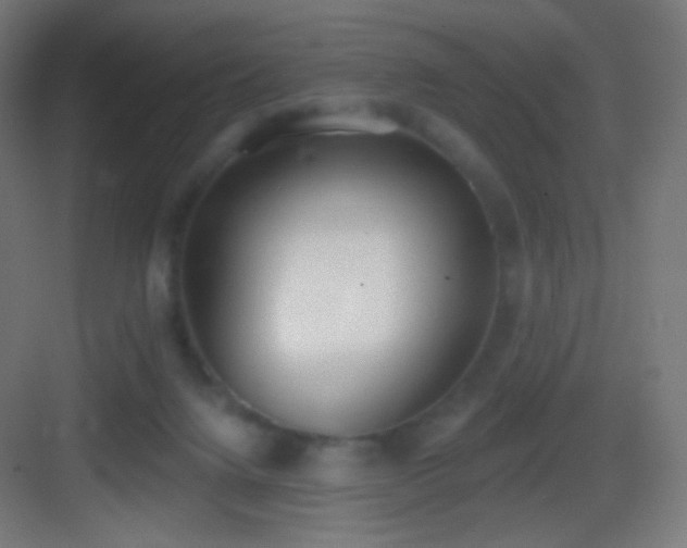 X0000083530072200702091017