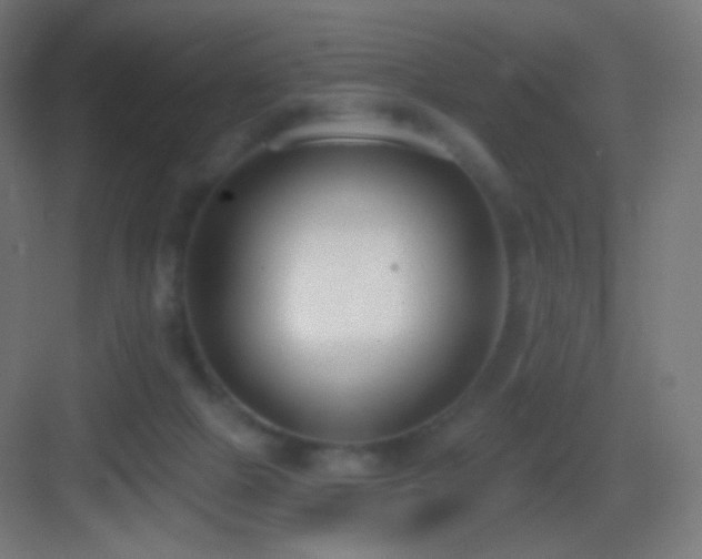 X0000083530073200702091017