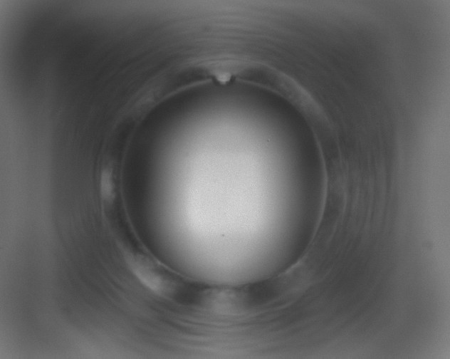 X0000083530074200702091017