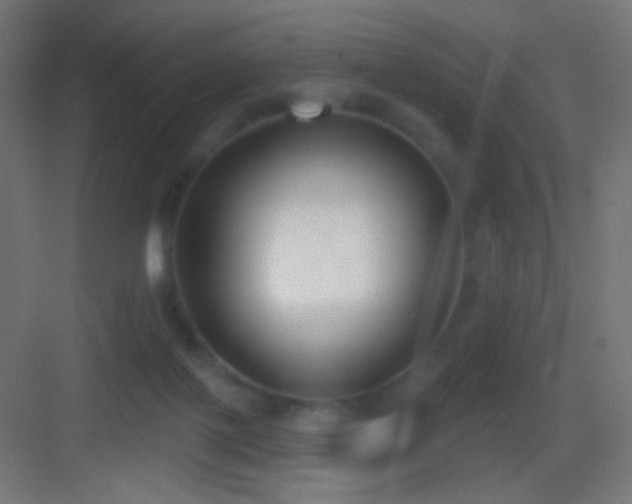 X0000083530075200702091017