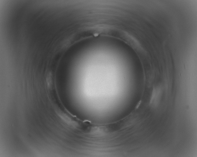 X0000083530077200702091017