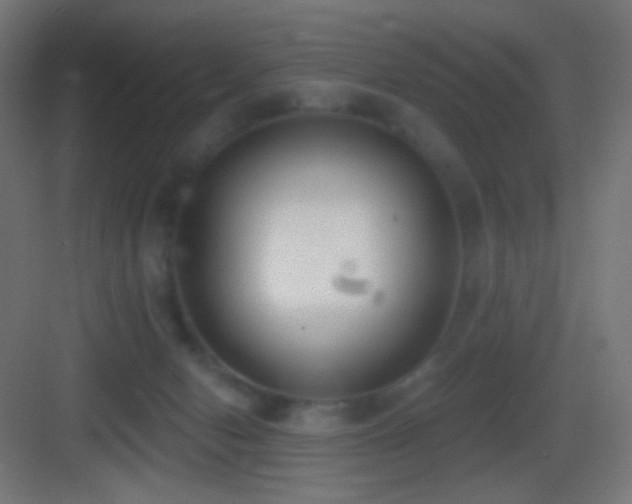 X0000083530078200702091017