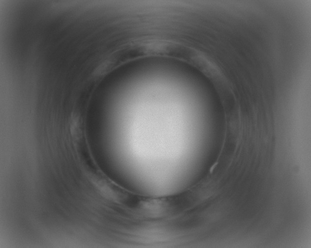 X0000083530079200702091017