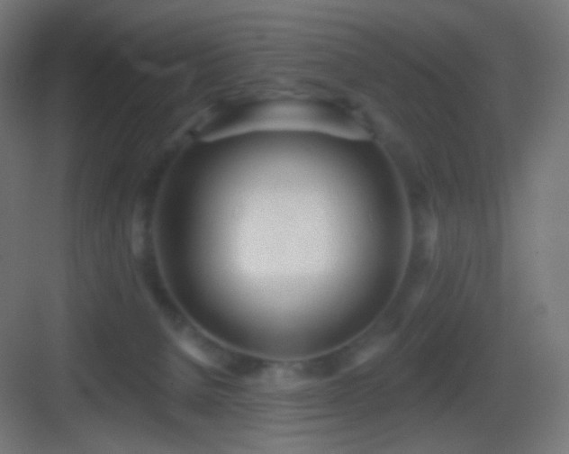 X0000083530080200702091017