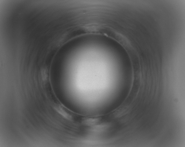 X0000083530081200702091017