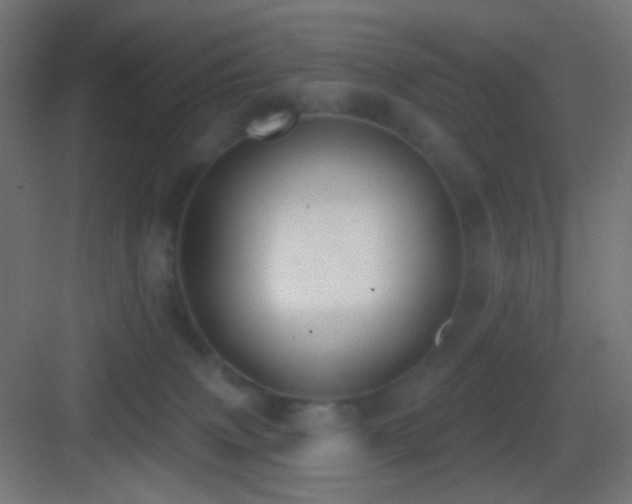 X0000083530083200702091017