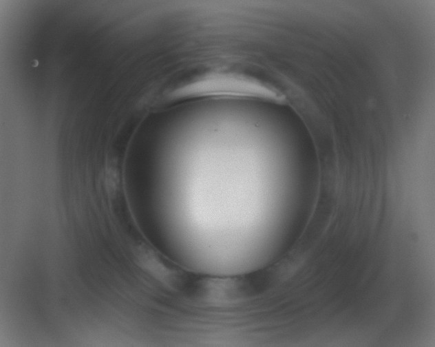 X0000083530085200702091017