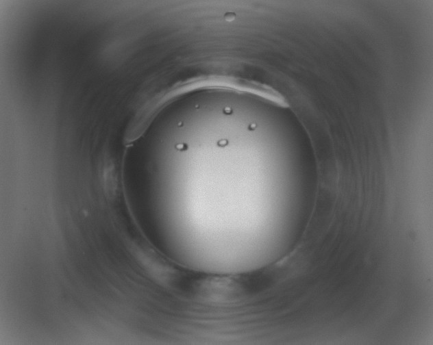 X0000083530086200702091017