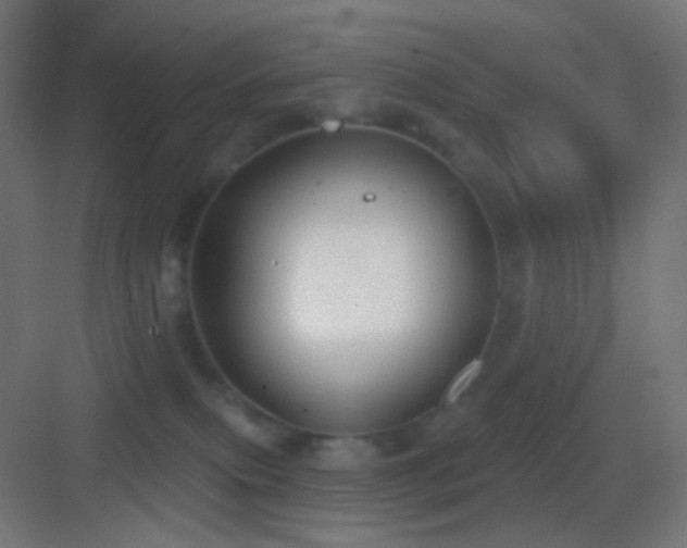 X0000083530087200702091017