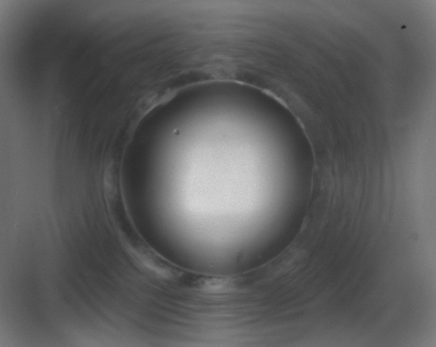 X0000083530088200702091017