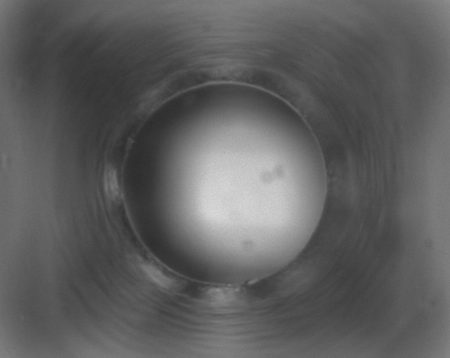 X0000083530089200702091017