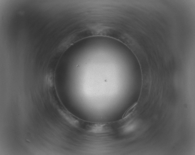 X0000083530090200702091017