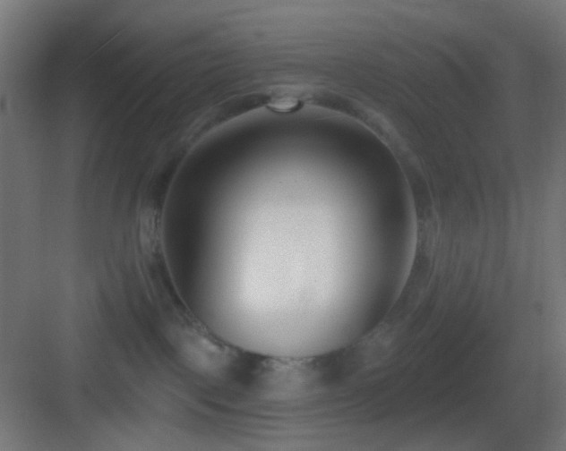 X0000083530093200702091017