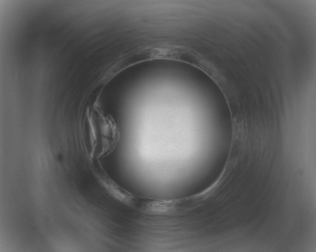 X0000083530094200702091017