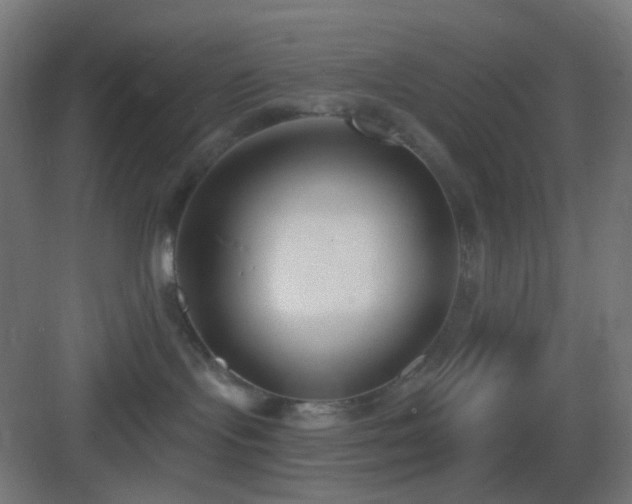 X0000083530095200702091017