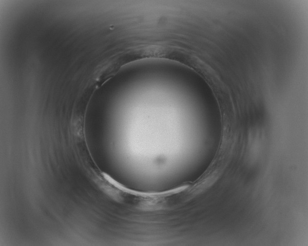 X0000083530096200702091017