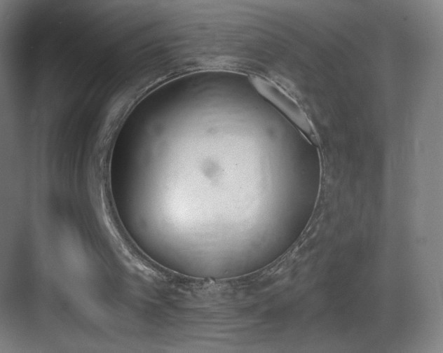 X0000083530097200702091017