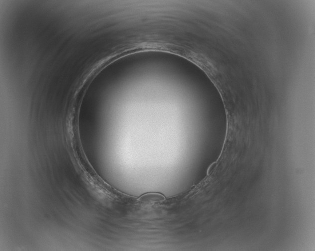 X0000083530098200702091017