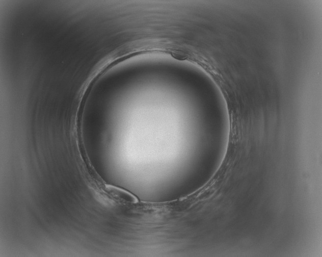 X0000083530099200702091017