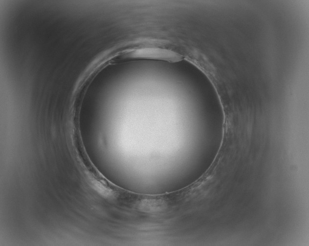 X0000083530101200702091017